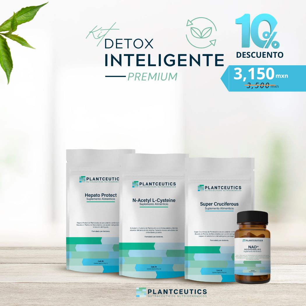 Kit Detox Inteligente Premium